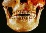 Зубные украшения древнего жителя Месоамерики